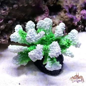 

AQUARIUM SIMULATION CORAL ORNAMENT COLORFUL ARTIFICIAL RESIN FISH TANK DECORATION CORAL SIMULATION AQUATIC FISH TANK ORNAMENTS