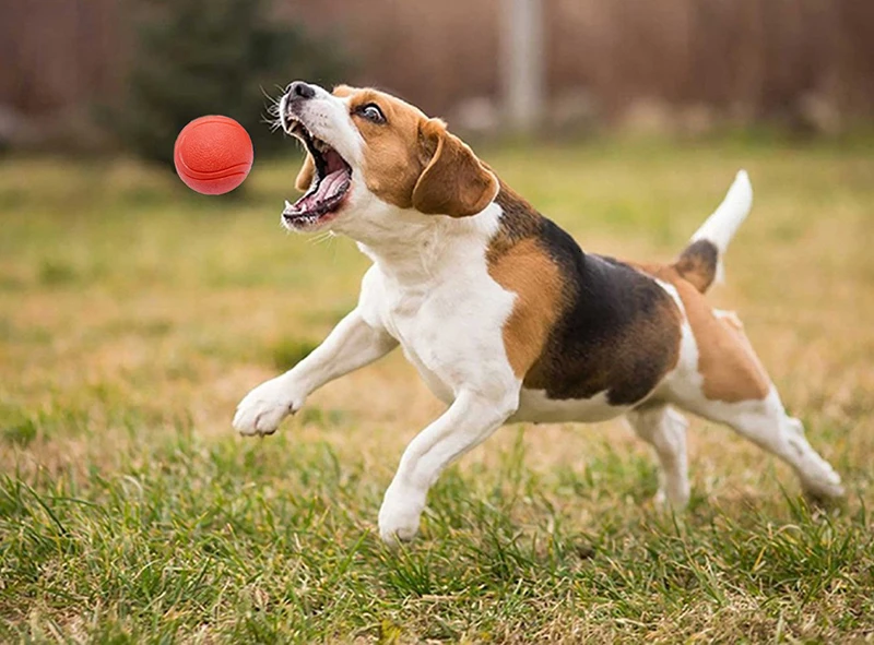 Benepaw нерушимый твердый резиновый мяч для собак с высоким прыжком жевательные игрушки для домашних животных для маленьких средних и больших собак обучающие игры