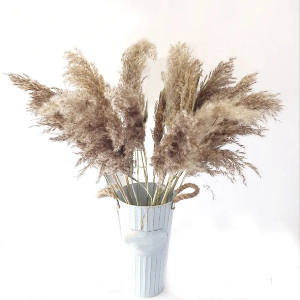 

10pcs Free shipping real dried pampas grass decor wedding flower bunch natural plants decor