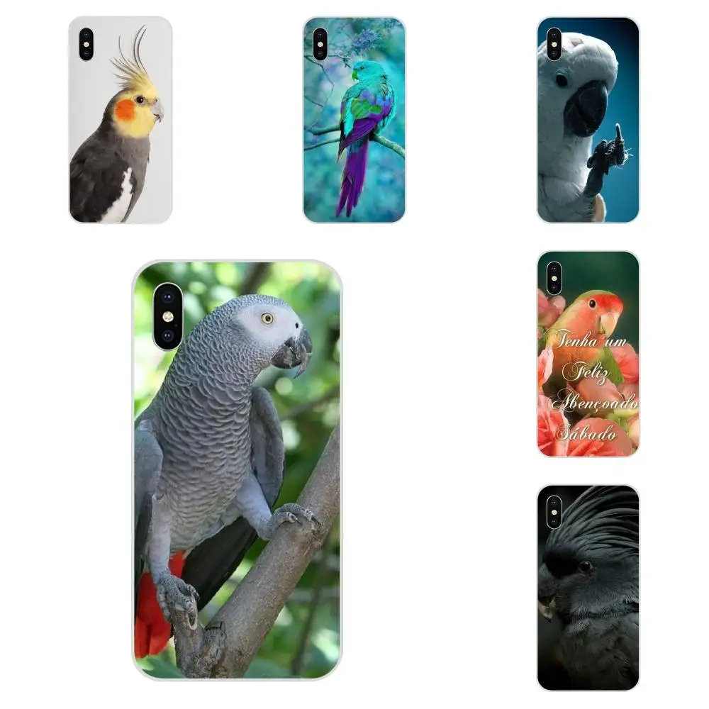 ТПУ кожа Paintin для Xiaomi Redmi Mi 4 7A 9T K20 CC9 CC9e Note 7 9 Y3 SE Pro Prime Go Play Blue Ringneck Parrot Art Print|Бамперы| |