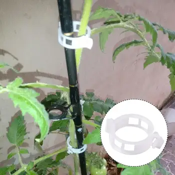 

White Useful Fashion Tomato Clips Plant Clip Plants Fixed New Gadget Twine Garden Drop Shipping Accessories Practical