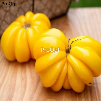

Ngryise 6000Pcs A Set Yellow Ruffles tomato