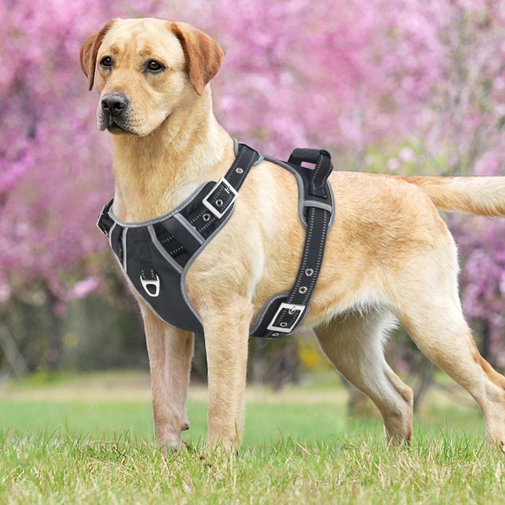 Strong harness for dogs Clearance