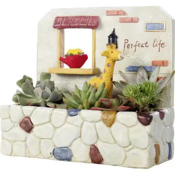 

My Garden Scene More Meat Hanging Creative Japanese Plants Flower Implement Green Potted Flower Pot In Personality