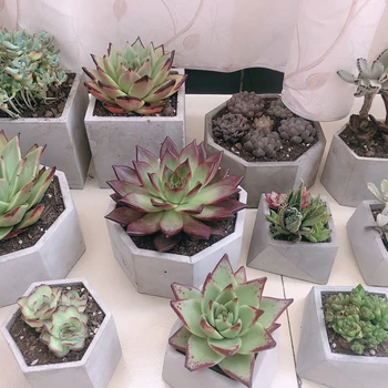 

Concrete Planter Molds Geometric Simple Handmade Flower Pot Silicone Mold Cement Polygonal Pot Molds Concrete Bonsai Mold