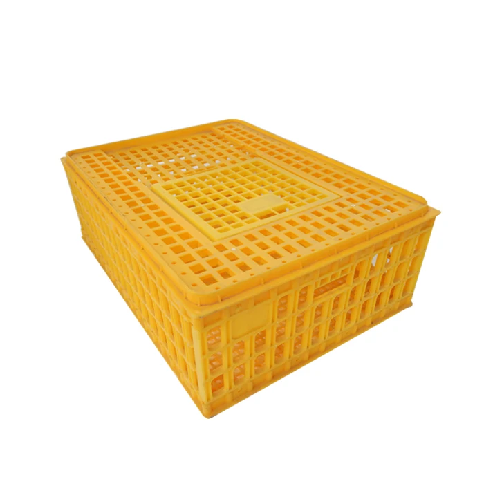 

Chicken Cage Plastic Cage Chicken Cage Home Chicken Cage Poultry Turnover Box Transportation Cage Into Chicken Turnover Box