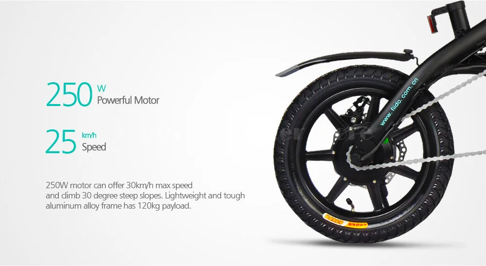 Fiido D1 Foldable Electric Scooter 2 Wheel Electric Bicycle 24V 250W Dual Brake System Portable Mini Folding Electric Bikes  (12)