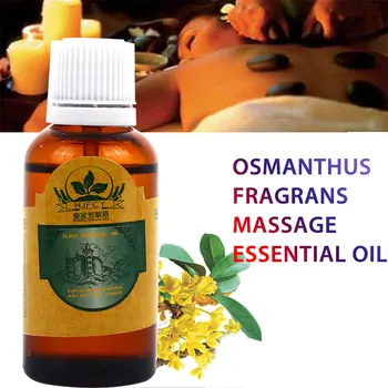 

Fashion Body Spa Massage Oil Increase Elasticity Moisturize The Skin Clean Air Plant Extracts 30ml Essential Oils Beauty Health