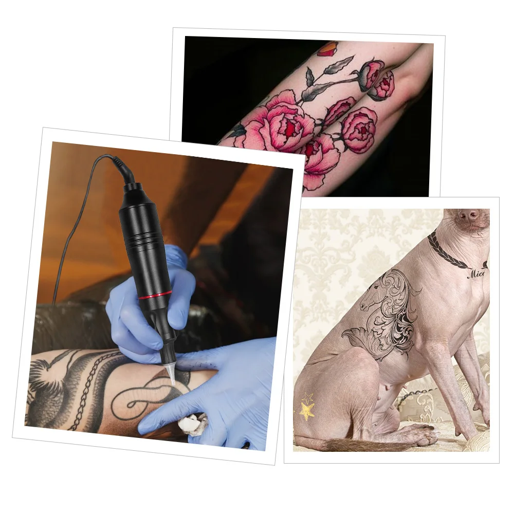 Kit di macchine per tatuaggi completi professionali Kit di macchine per  tatuaggi per trucco permanente Set di penne rotanti per tatuaggi  alimentatore per corpo del tatuaggio - AliExpress