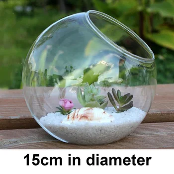 

Transparent Glass Vase Home 15cm 15cm Pot Clear Terrarium Planter Bottle Decor Hydroponic Flower Round Container