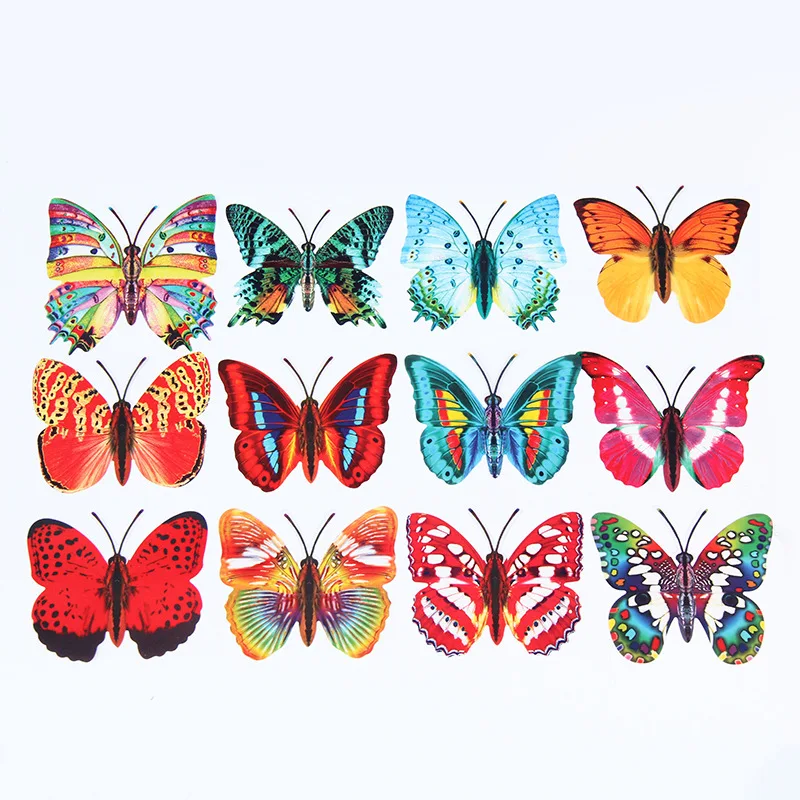 8-10 Centimeter Model Butterfly Color 12 of Stereo Scene Decorative Teaching Props Wall Decorative Crafts