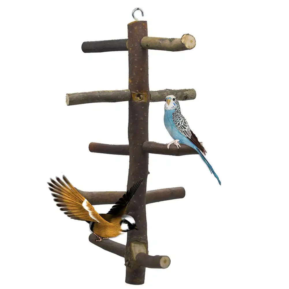 Cage Wooden Stairs Multipurpose Pet Swing Parrot Non Toxic Play