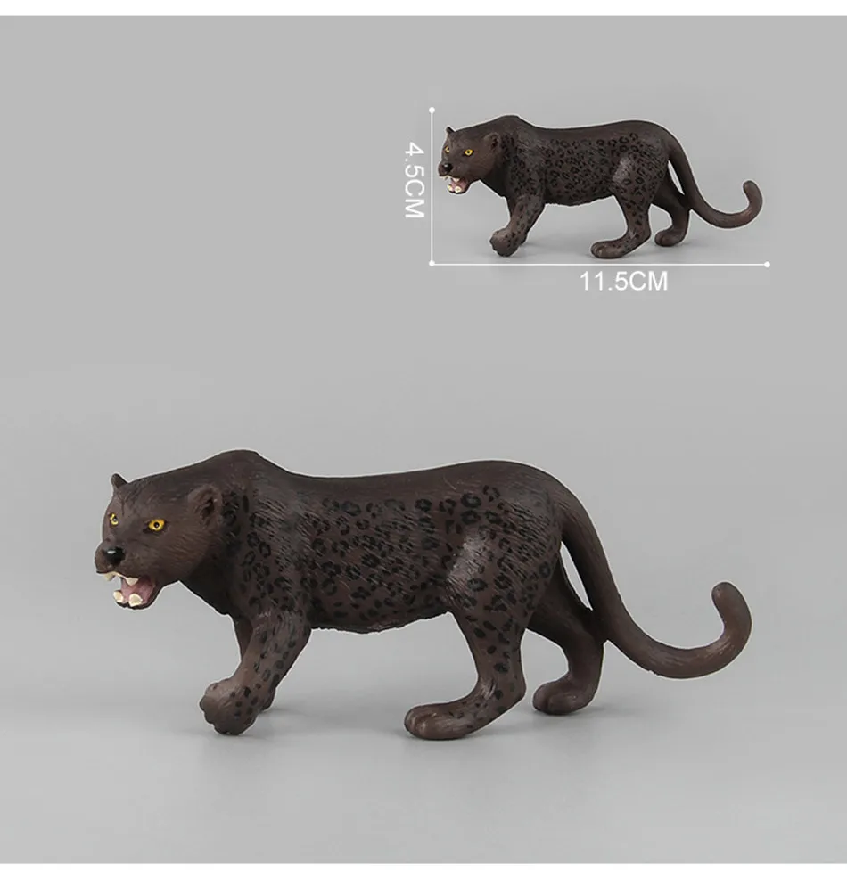 9040020864_202388549_副本