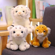

TYY Pop it fidget toys anime Mini Sitting Tiger Plush Toys for Children Kids Cute Staffed Animal Doll Kids Creative Gift Home
