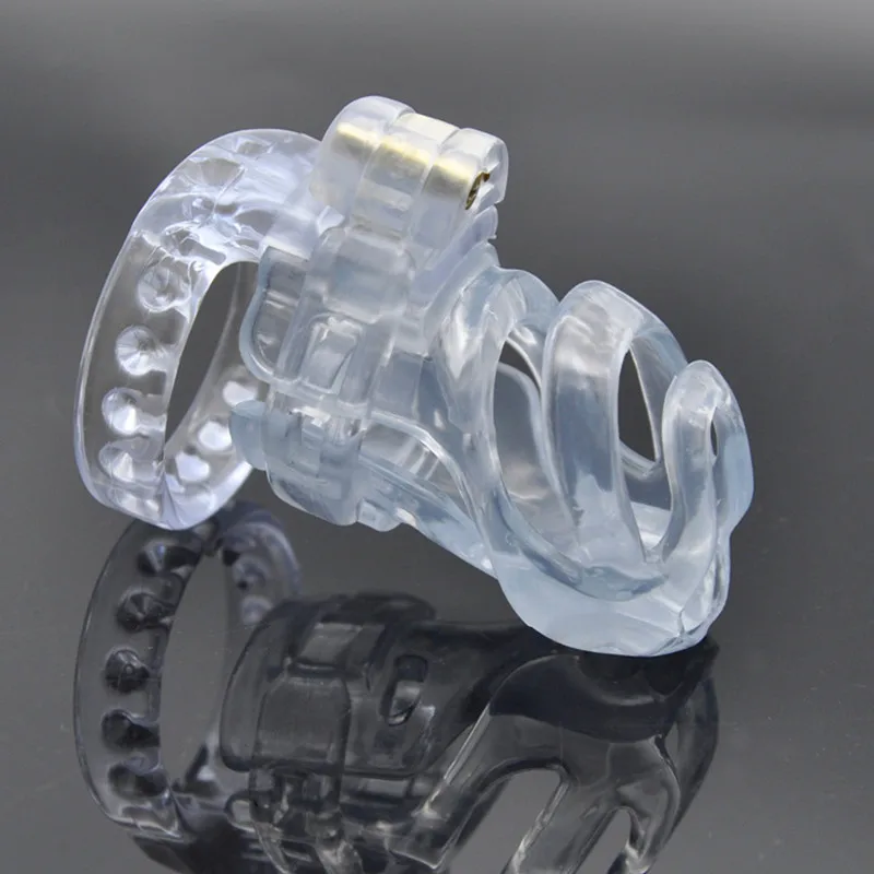 4548866783_222136412