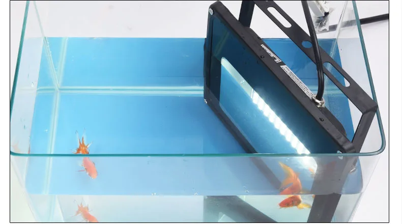 20180530_101718_003