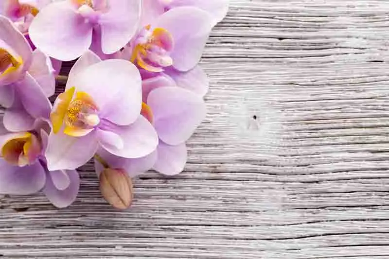 

SHENGYONGBAO Vinyl Custom Photography Prop Floral and Wood Planks theme Photo Studio Background TW19912-5214443