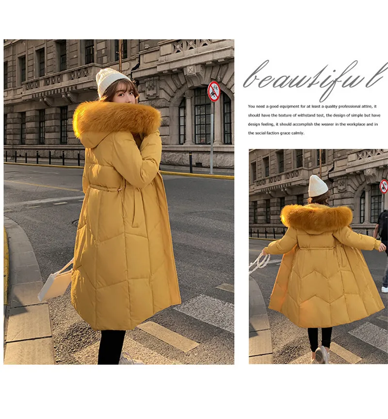 11377755526_822615558