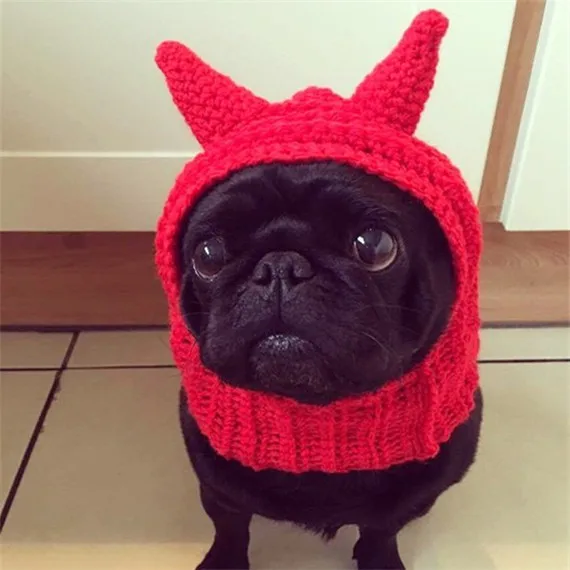 

2020 New Style Pet Hat Dog Cap niu jiao mao Birthday Hat Halloween Hat