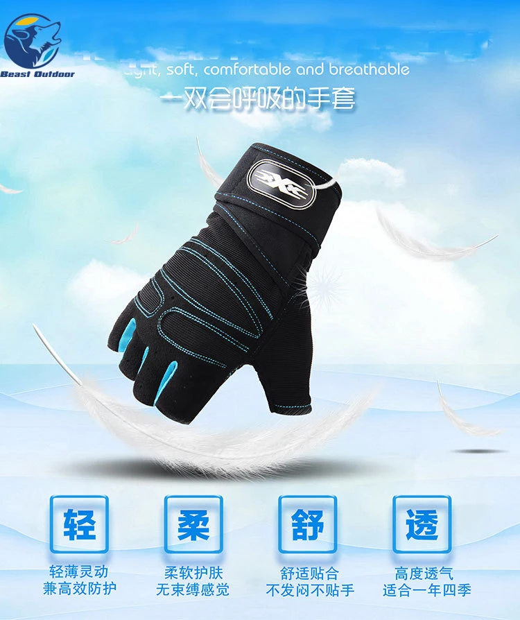 12158402702_518899789