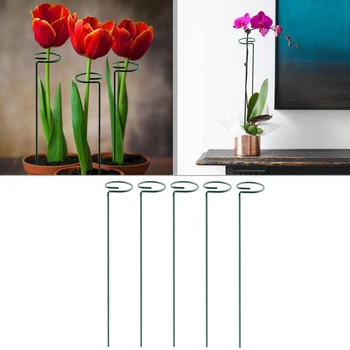 

Plant Support Stand Flowers Support Ring Stakes Bonsai Support Backyard Garden Tool Metal Plant Support