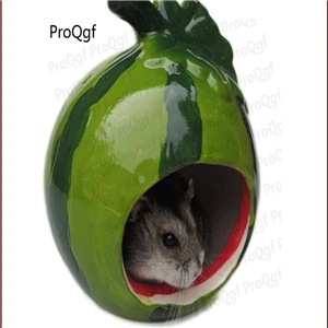 ProQgf 1 шт. набор хомяк летний классный дом - Цвет: 6