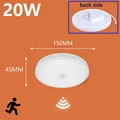 20W Sensor Lamp