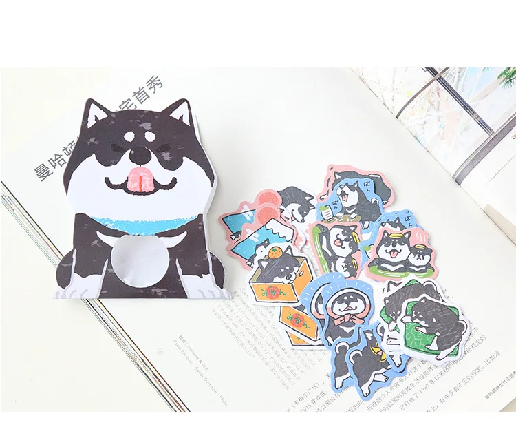 5091372847_577952424