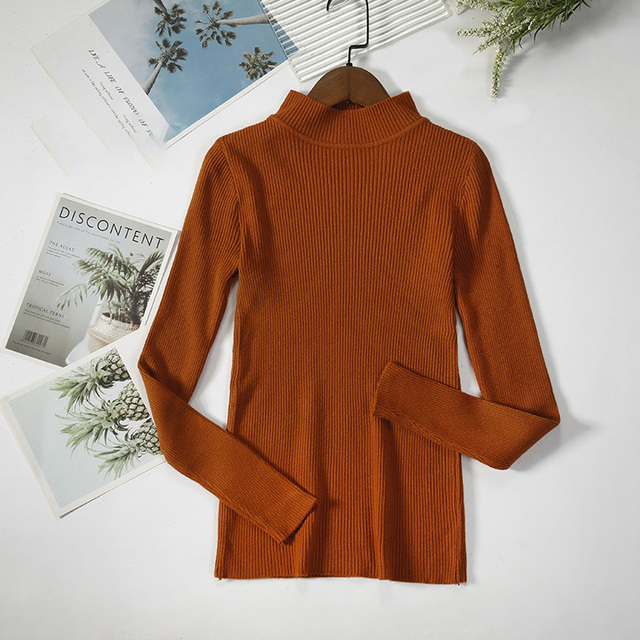 Autumn Winter Basic Turtleneck Sweaters Women Knitting Bottoming Sweaters Warm Pullovers Slim Long Sleeve Tops Female