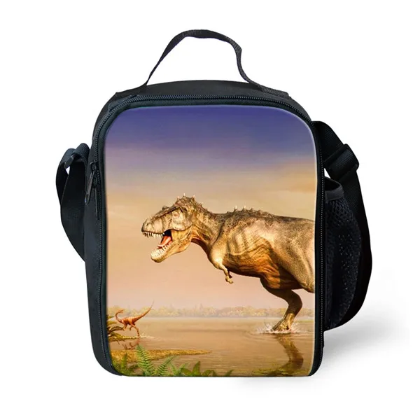 CDYXX0186G Thikin динозавр сумки для обедов для студентов мальчиков Tyrannosaurus портативный кулер для детей Птерозавр сумка для пикника для девочек - Цвет: CDYXX0186G