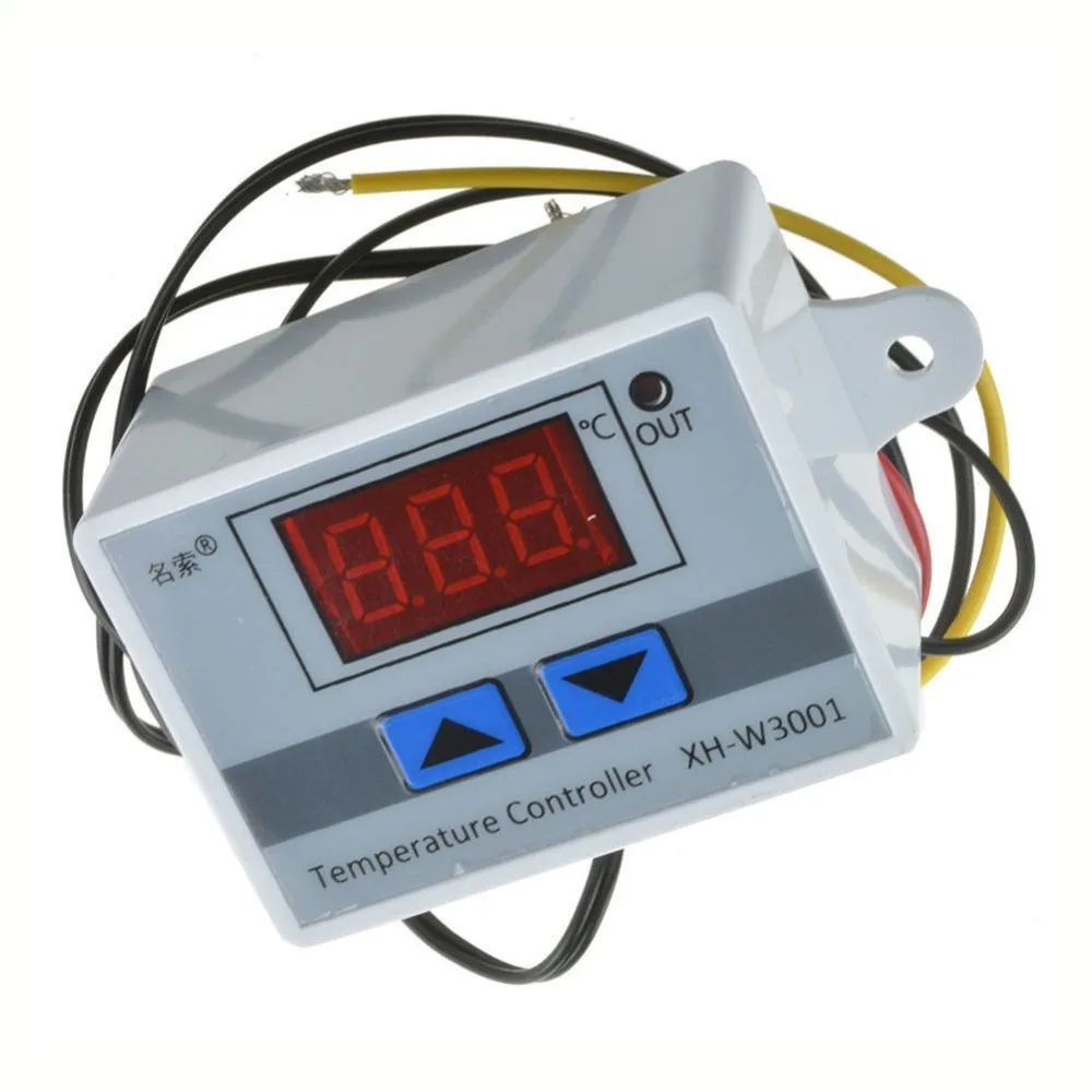 289363_no-logo_289363-1-13