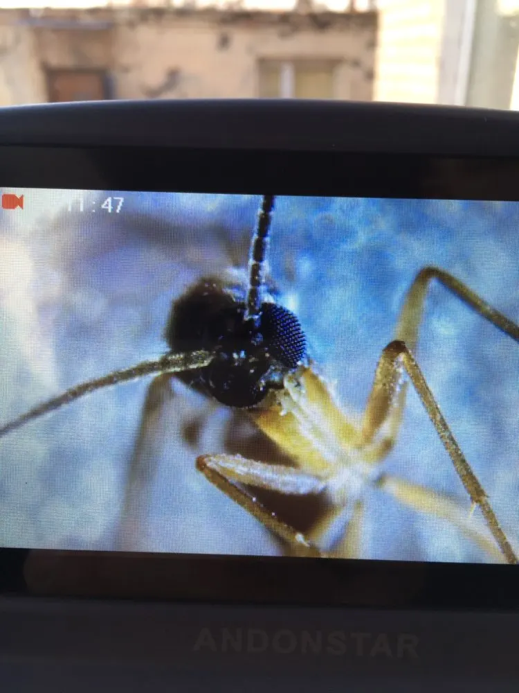 1b91e3095c4fc2007738aa06c08d1894_U3a474f4e70de4b168d8800f5a9262bbda