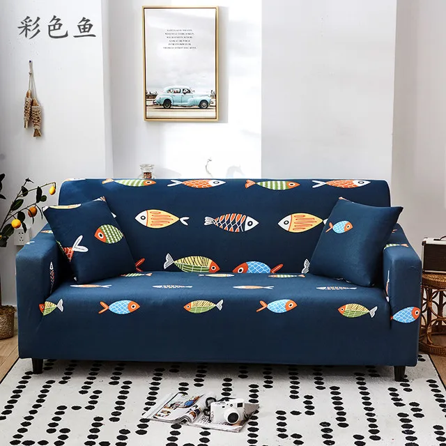 12486382377_724640746.640x640