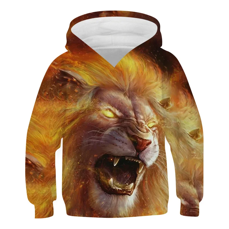 Bambini e ragazzi LKING Felpa con Cappuccio 3D Pattern Casual Sports Felpa  con Cappuccio per Ragazzo e Ragazza Abbigliamento Felpe topodiumgroup.com
