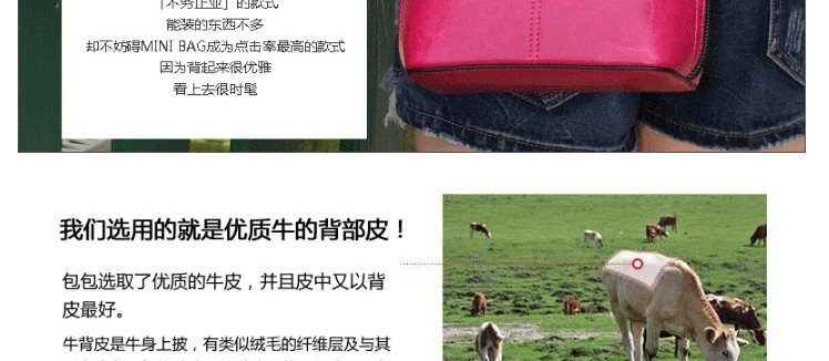 Новые диагональные кожаные сумки через плечо, сумка для ракушек