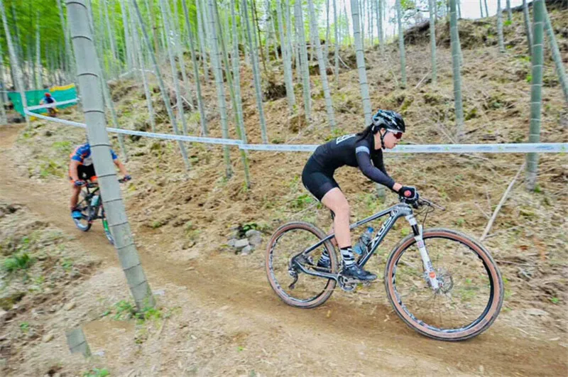 8773363141_1033805875