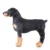 Pet Legs Brace Dog Knee Elbow Hock Protector Собаки Дышащие Противоударные Травмы Восстанавливают Ноги Открытый Тренировочный Протектор Поддержка