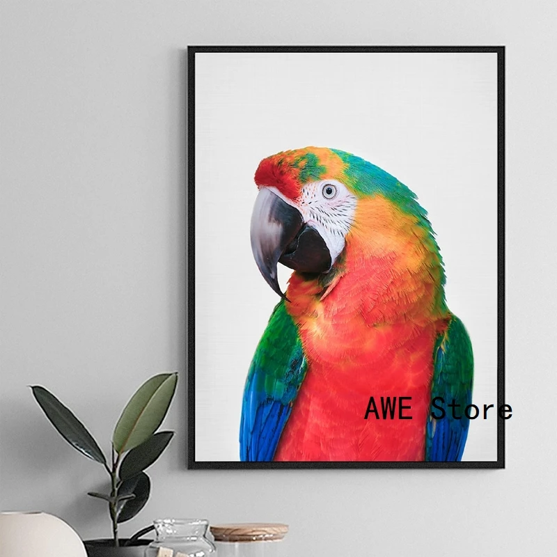 ポスターウォールアートキャンバス トロピカルバード エキゾチックな鳥のポスター オウムの写真 家の装飾 絵画 書道 Aliexpress