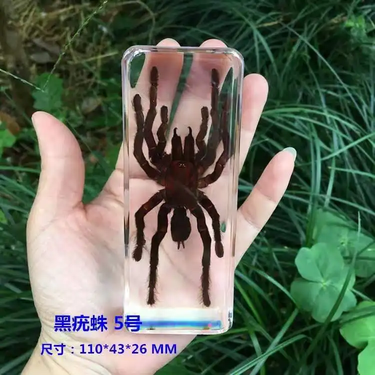 Resin Insect Specimen Handicraft Centipede Spider Beetle Scorpion Biological Sample  Boy Gift miniature brass figurines