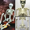 Décoration de fête d'halloween, squelette humain, 40CM, mode populaire, créatif, nouvelle collection ► Photo 3/6