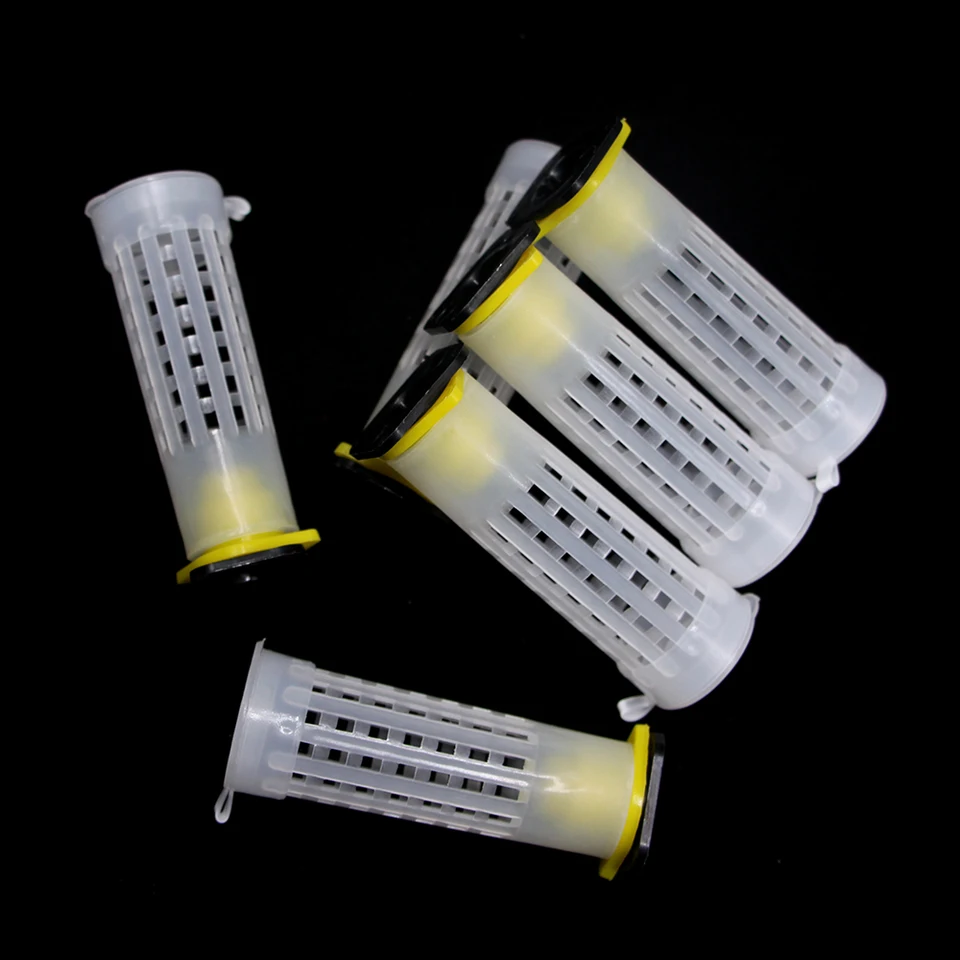 Kit D'outils Pour L'apiculture, Système D'élevage De Reine, Boîte De Culture, Gobelets à Cellules, Cage De Capture Complète, Ofe Spéciale