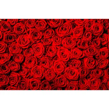 

SHENGYONGBAO Vinyl Custom Photography Backdrops outdoor+Brick wall Theme Photography Background 200309RG-04