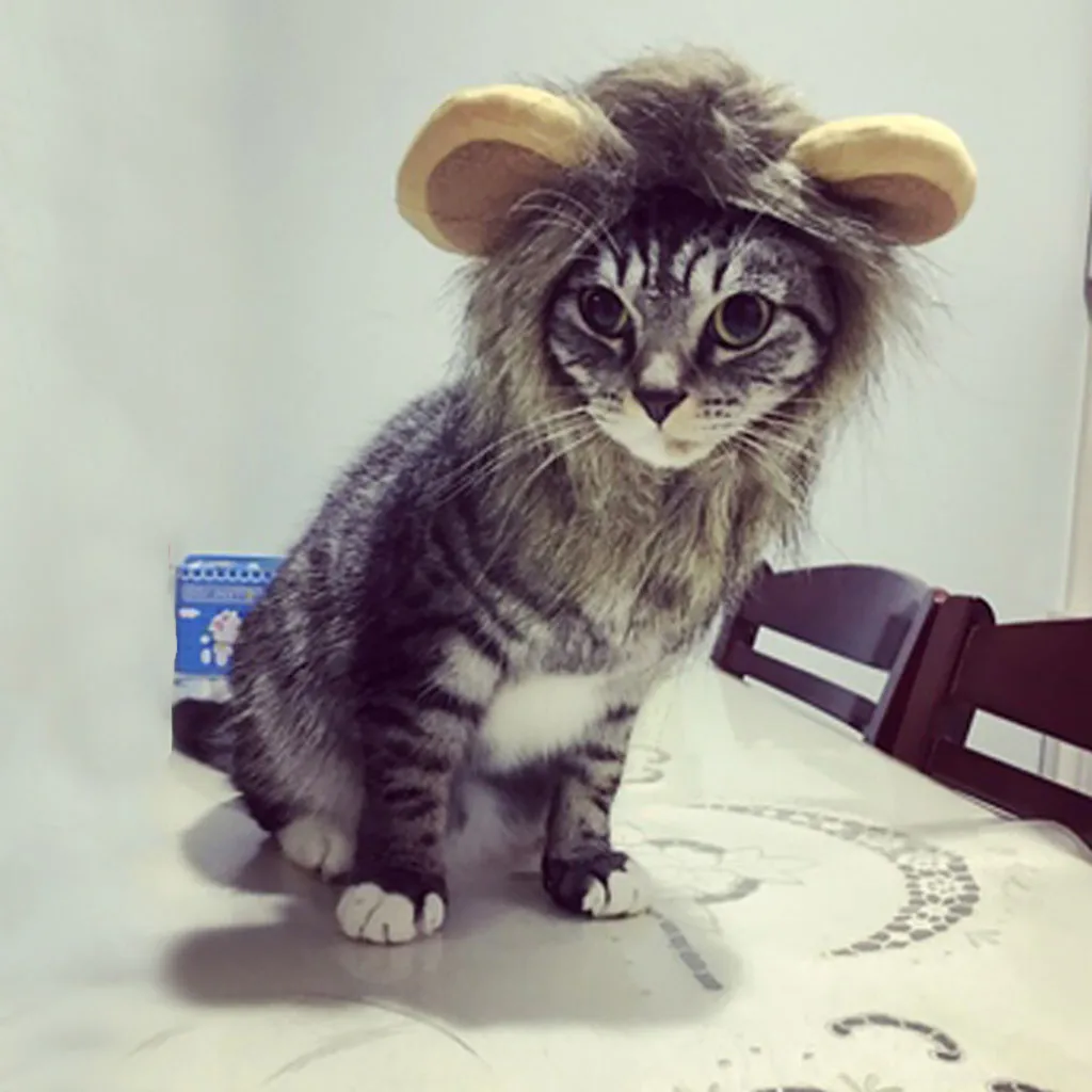 Костюм для домашних животных косплей парик льва Кепка шапка для кошки лента для волос для домашних животных gatos аксессуары маленький Лев головной убор Прямая поставка Новинка 913