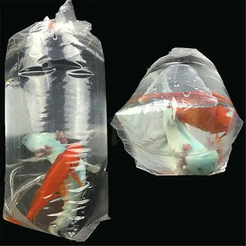 High Quality 10PCS Breathing Bag Aquarium Fish Bag For Aquarium  Transportation Fish, Shrimp and Aquarium Plants Square bag - AliExpress