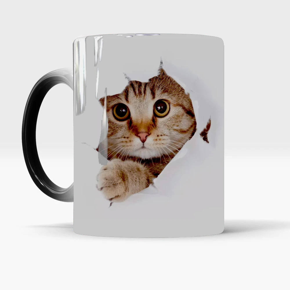 cat01