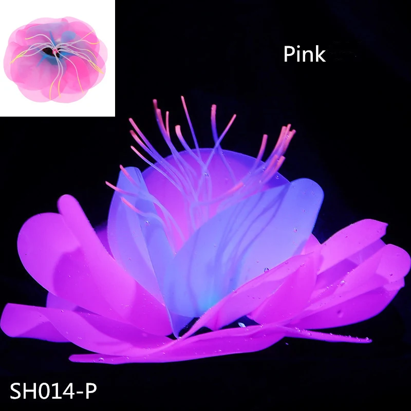 BMSH014 (6)
