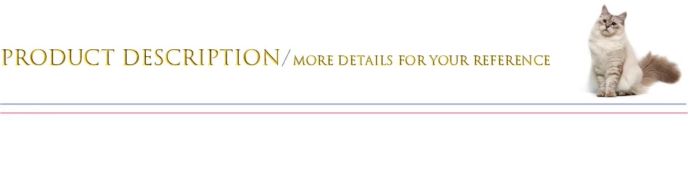 10 PRODUCT DESCRIPTION