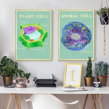 

Animal and Plant Cell Biology Posters and Prints Science Educational Wall Art Pictures Laboratory Office Kraft pape Retro Poster