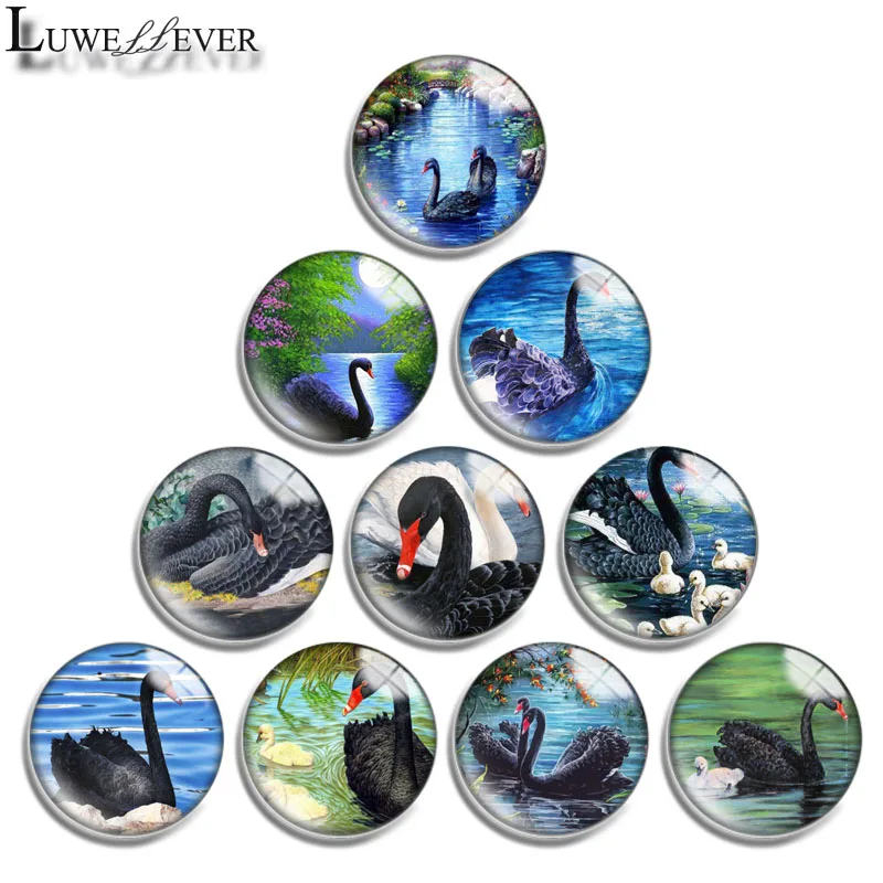 

10mm 12mm 16mm 20mm 25mm 30mm 668 Black Swan Mix Round Glass Cabochon Jewelry Finding 18mm Snap Button Charm Bracelet