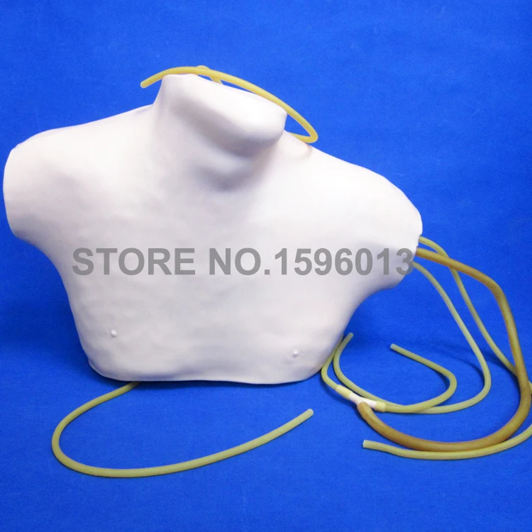 L68B CVC (1)
